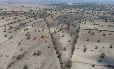 11 Hectareas para desarrollar a un costado de ANDALUCÍA RESIDENCIAL, carretera México-Pachuca