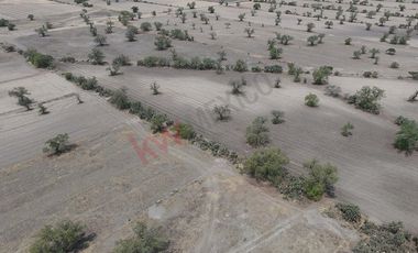 11 Hectareas para desarrollar a un costado de ANDALUCÍA RESIDENCIAL, carretera México-Pachuca