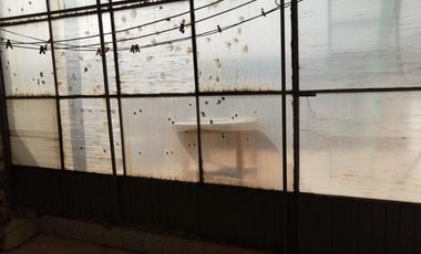 Departamento amueblado en renta en el centro