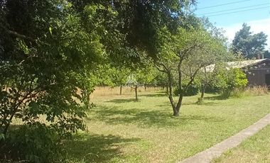 Agrícola en Venta en COD35635 Parcela Orilla camino Asfalto sobre ruta Temuco a Cunco