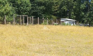 Agrícola en Venta en COD35635 Parcela Orilla camino Asfalto sobre ruta Temuco a Cunco