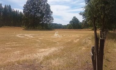 Agrícola en Venta en COD35635 Parcela Orilla camino Asfalto sobre ruta Temuco a Cunco