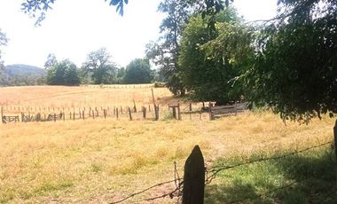 Agrícola en Venta en COD35635 Parcela Orilla camino Asfalto sobre ruta Temuco a Cunco