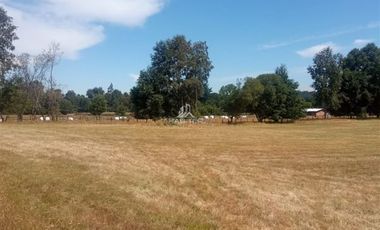 Agrícola en Venta en COD35635 Parcela Orilla camino Asfalto sobre ruta Temuco a Cunco