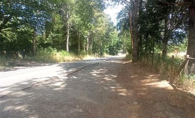 Agrícola en Venta en COD35635 Parcela Orilla camino Asfalto sobre ruta Temuco a Cunco