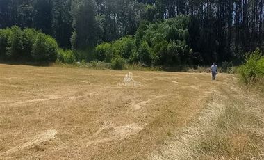 Agrícola en Venta en COD35635 Parcela Orilla camino Asfalto sobre ruta Temuco a Cunco