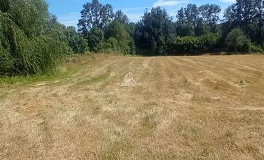 Agrícola en Venta en COD35635 Parcela Orilla camino Asfalto sobre ruta Temuco a Cunco