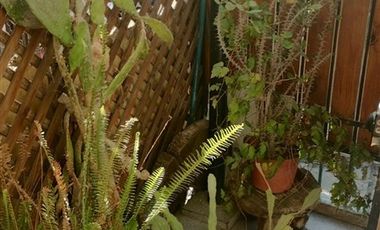 Casa en Venta en departamental / tobalaba