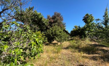 Casa en venta en SAN JAVIER