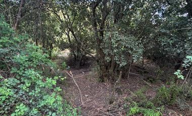 Parcela en venta en LINARES