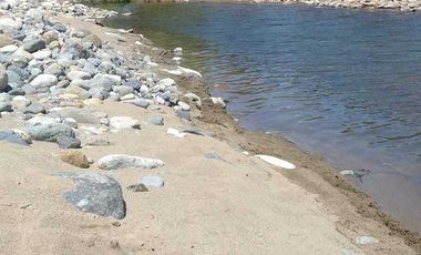 Parcela en venta en LINARES