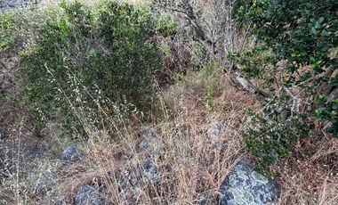 Parcela en venta en LINARES