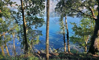 Parcela con acceso exclusivo a Lago Colico