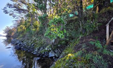 Parcela con acceso exclusivo a Lago Colico