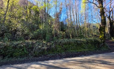Parcela con acceso exclusivo a Lago Colico