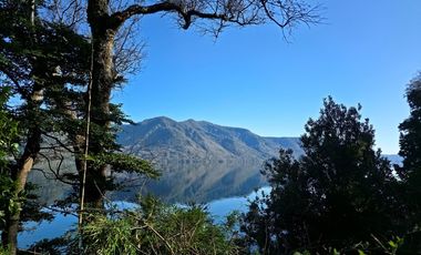 Parcela con acceso exclusivo a Lago Colico