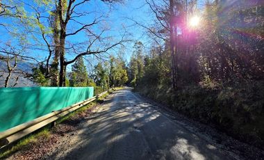 Parcela con acceso exclusivo a Lago Colico