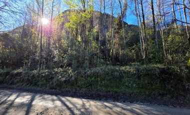 Parcela con acceso exclusivo a Lago Colico