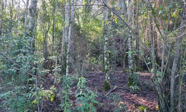 Parcela con acceso exclusivo a Lago Colico