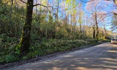 Parcela con acceso exclusivo a Lago Colico