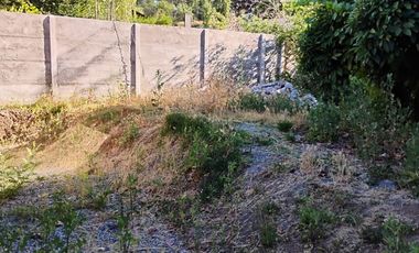 MIRAFLORES , MACHALI