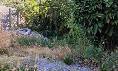 MIRAFLORES , MACHALI