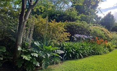 Exclusiva Propiedad en La Carolina con Oficina Independiente, Quincho, pileta y Gran Jardín