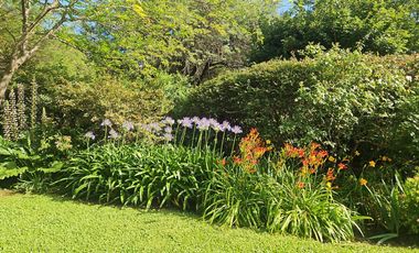 Exclusiva Propiedad en La Carolina con Oficina Independiente, Quincho, pileta y Gran Jardín
