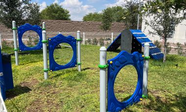 DEPARTAMENTO EN RENTA SANTA FE LIVING GUADALUPE NL