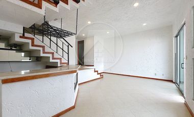 Paris, Jardines de Bellavista