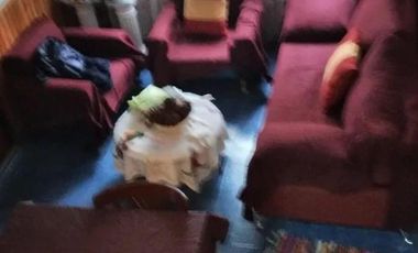 Departamento en venta - 2 Dormitorios 2 Baños - San Clemente del Tuyú