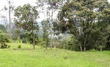 CASA EN VENTA ALTO DE LAS PALMAS