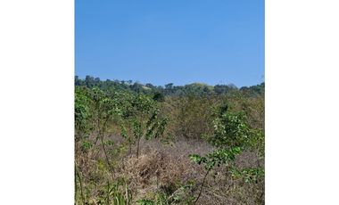 Terreno agrícola de 115 ha. con riego en San Lorenzo Del Mate Progreso