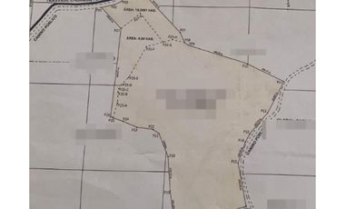 Terreno agrícola de 115 ha. con riego en San Lorenzo Del Mate Progreso