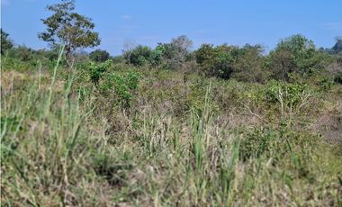Terreno agrícola de 115 ha. con riego en San Lorenzo Del Mate Progreso