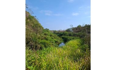 Terreno agrícola de 115 ha. con riego en San Lorenzo Del Mate Progreso