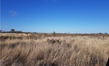 VENTA DE ESTANCIA DE 4.500 HECTREAS – SAN LUIS, ARGENTINA