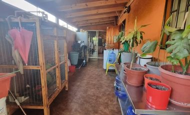 FLOR NEGRETE LABRAÑA