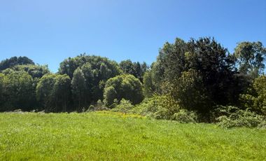 Parcela en venta en FRUTILLAR