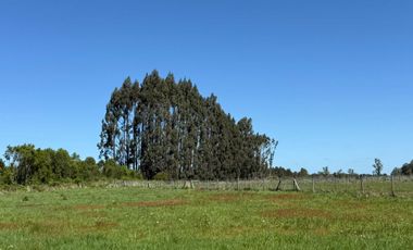 Parcela en venta en FRUTILLAR