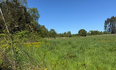 Parcela en venta en FRUTILLAR