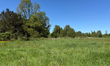 Parcela en venta en FRUTILLAR