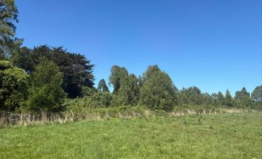 Parcela en venta en FRUTILLAR