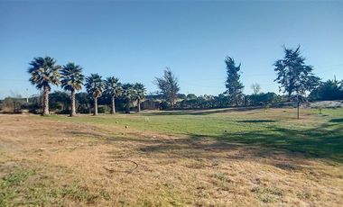 Parcela en Venta en Sector San Jóse ,moy cercano a Bollenar en Melipilla