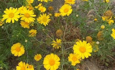 Departamento en Venta en Hermanos de la Costa