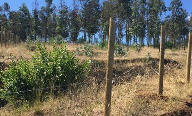 Grace Kelm Vende Parcela 5000 m2, rol inscripto,  acceso directo a la ruta O-526 (camino público Florida-Quillón),en Quillon