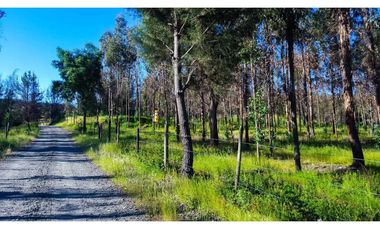 Grace Kelm Vende Parcela 5000 m2, rol inscripto,  acceso directo a la ruta O-526 (camino público Florida-Quillón),en Quillon