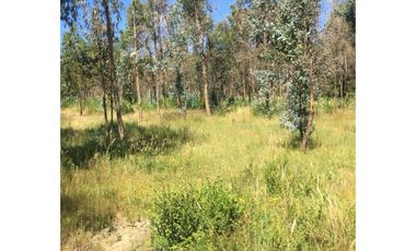 Grace Kelm Vende Parcela 5000 m2, rol inscripto,  acceso directo a la ruta O-526 (camino público Florida-Quillón),en Quillon