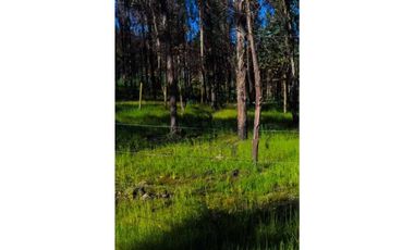 Grace Kelm Vende Parcela 5000 m2, rol inscripto,  acceso directo a la ruta O-526 (camino público Florida-Quillón),en Quillon