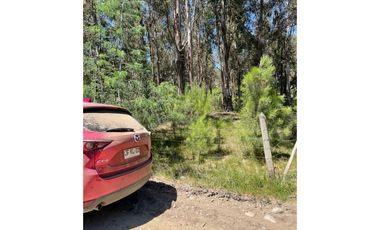 Grace Kelm Vende Parcela 5000 m2, rol inscripto,  acceso directo a la ruta O-526 (camino público Florida-Quillón),en Quillon